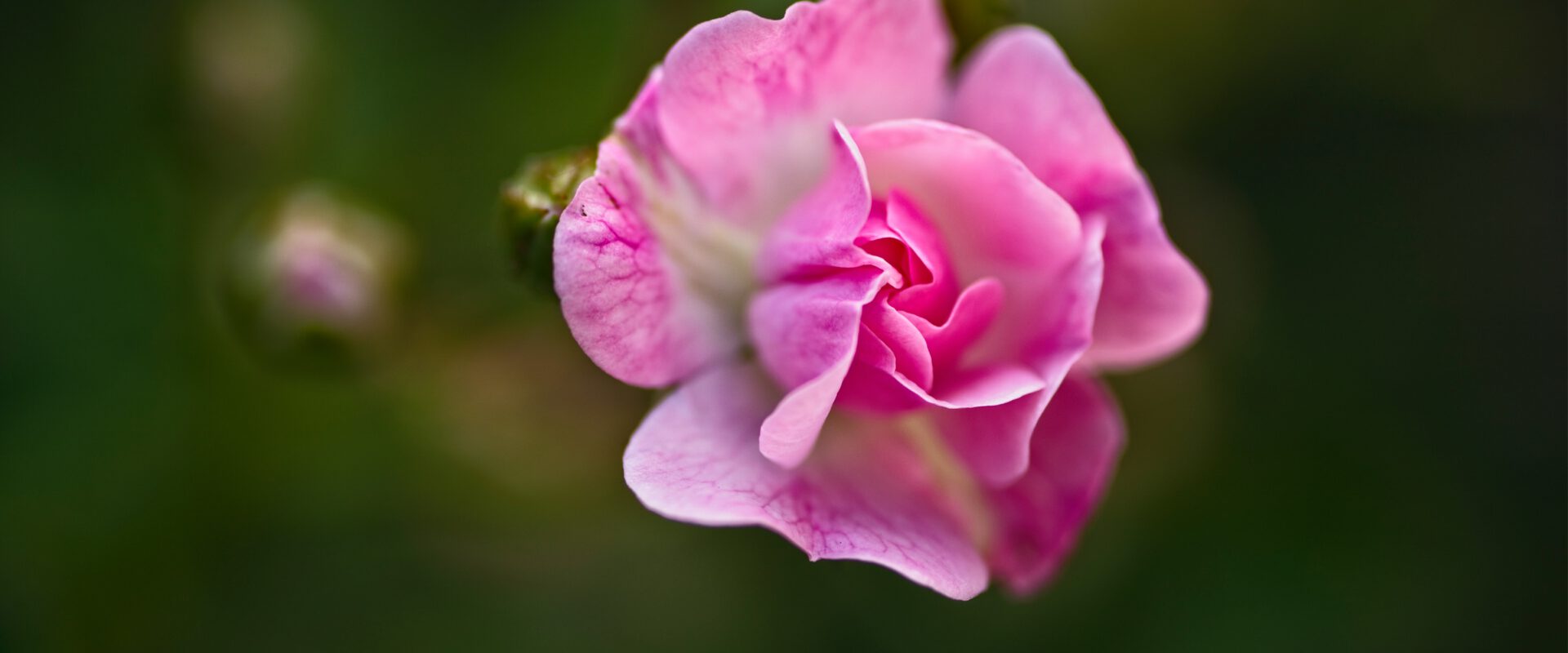 Dovanų idėjos Mamai