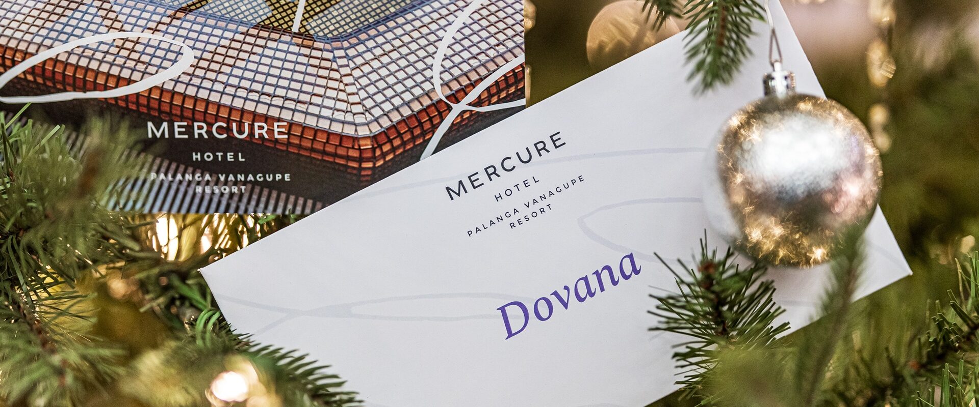 Kalėdinių dovanų idėjos